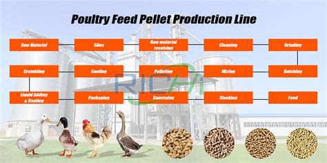 The average commercial free-range flock consists of 1,000-2,000 hens. . Proposal for poultry feed production